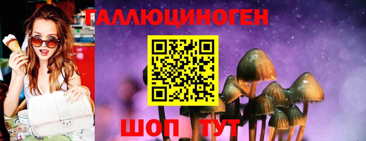 Альфа ПВП Кисловодск